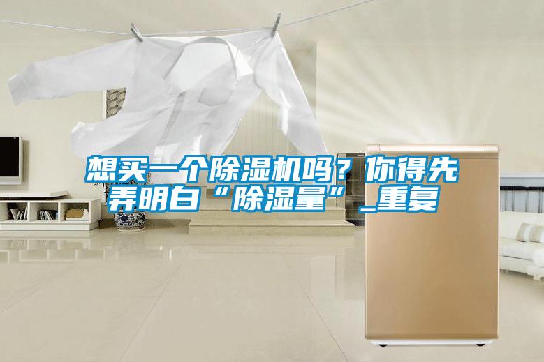 想买一个91抖音免费看片吗？你得先弄明白“除湿量”_重复