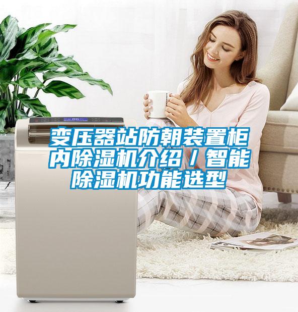 变压器站防朝装置柜内91抖音免费看片介绍／智能91抖音免费看片功能选型