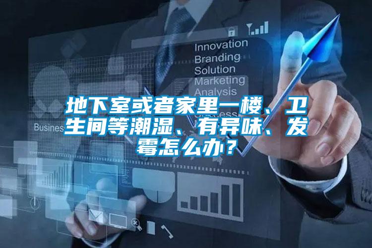 地下室或者家里一楼、卫生间等潮湿、有异味、发霉怎么办？
