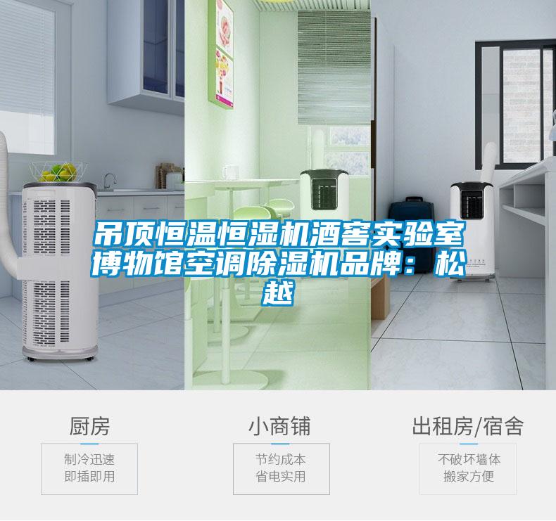 吊顶恒温恒湿机酒窖实验室博物馆空调91抖音免费看片品牌：松越