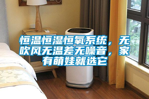 恒温恒湿恒氧系统，无吹风无温差无噪音，家有萌娃就选它
