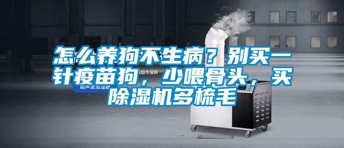 怎么养狗不生病？别买一针疫苗狗，少喂骨头，买91抖音免费看片多梳毛