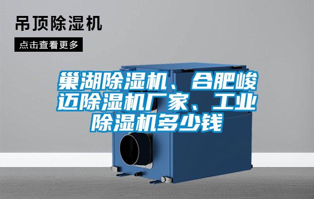 巢湖91抖音免费看片、合肥峻迈91抖音免费看片厂家、工业91抖音免费看片多少钱