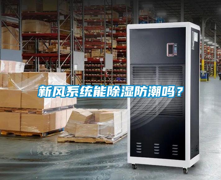 新风系统能除湿防潮吗？