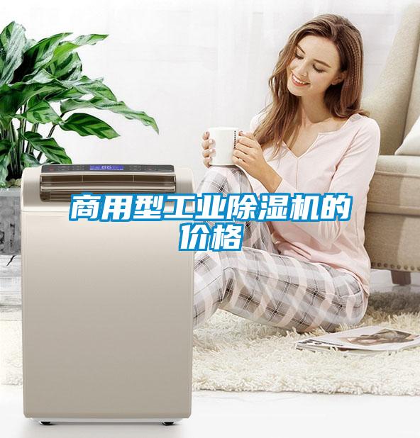 商用型工业91抖音免费看片的价格