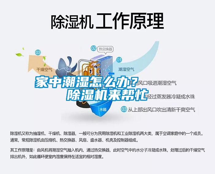 家中潮湿怎么办？    91抖音免费看片来帮忙