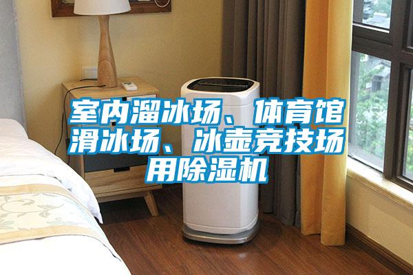 室内溜冰场、体育馆滑冰场、冰壶竞技场用91抖音免费看片