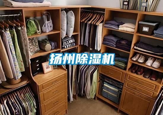 扬州91抖音免费看片