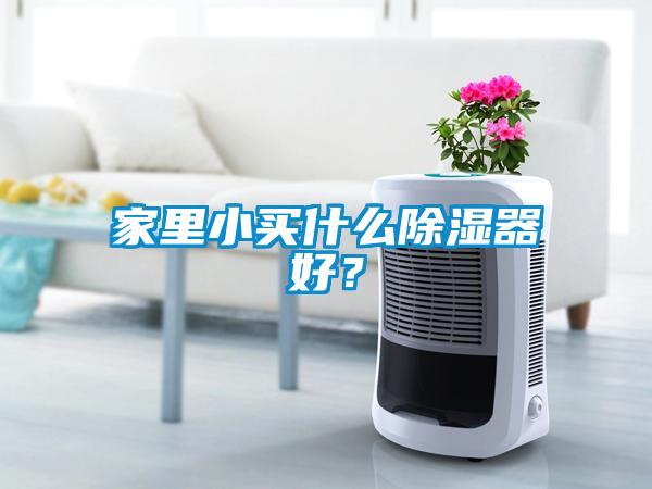 家里小买什么除湿器好？