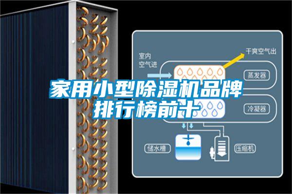 家用小型91抖音免费看片品牌排行榜前十