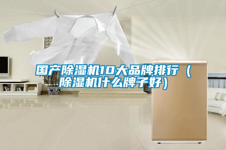 国产91抖音免费看片10大品牌排行（91抖音免费看片什么牌子好）