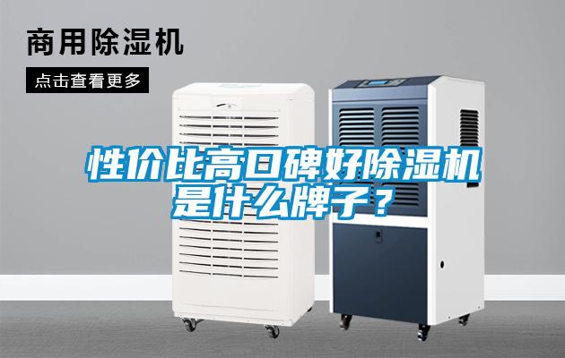 性价比高口碑好91抖音免费看片是什么牌子？