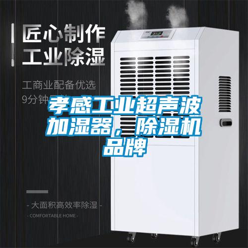 孝感工业超声波加湿器，91抖音免费看片品牌