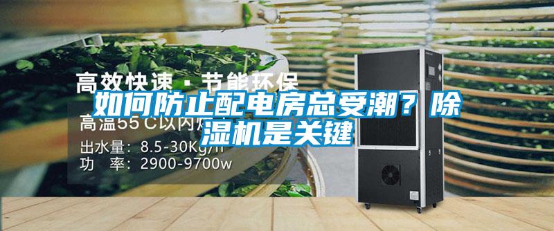 如何防止配电房总受潮？91抖音免费看片是关键