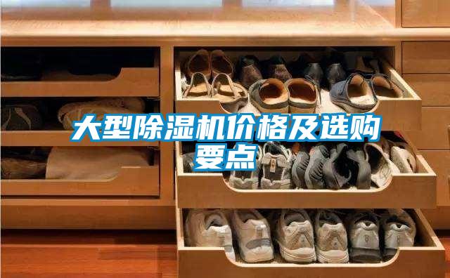 大型91抖音免费看片价格及选购要点