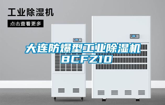 大连防爆型工业91抖音免费看片 BCFZ10