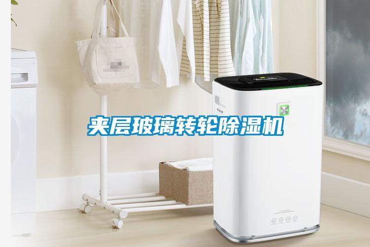 夹层玻璃转轮91抖音免费看片