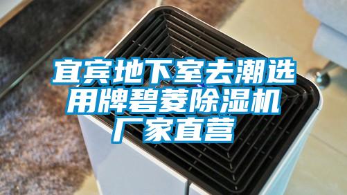 宜宾地下室去潮选用牌碧菱91抖音免费看片厂家直营