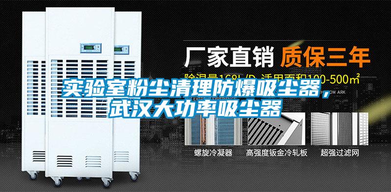 实验室粉尘清理防爆吸尘器，武汉大功率吸尘器