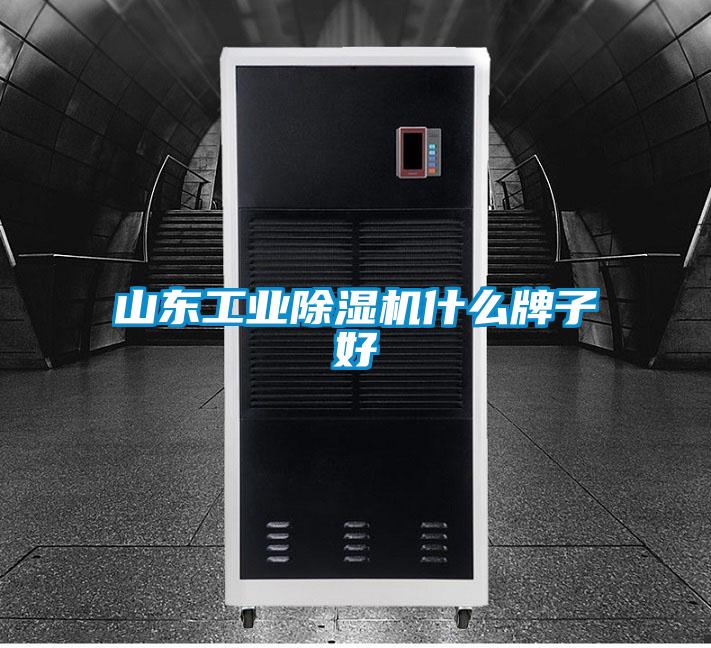 山东工业91抖音免费看片什么牌子好