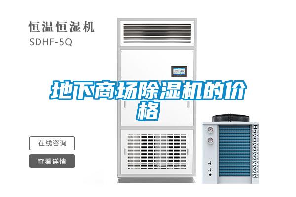 地下商场91抖音免费看片的价格