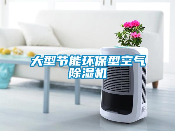 大型节能环保型空气91抖音免费看片