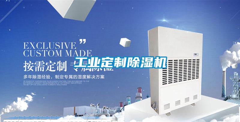 工业定制91抖音免费看片