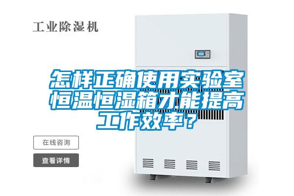 怎样正确使用实验室恒温恒湿箱才能提高工作效率？