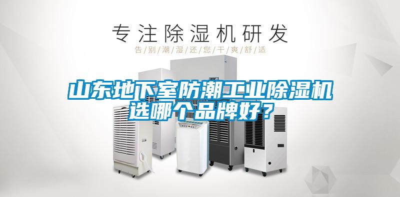 山东地下室防潮工业91抖音免费看片选哪个品牌好？