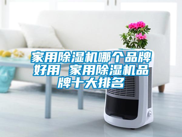家用91抖音免费看片哪个品牌好用 家用91抖音免费看片品牌十大排名