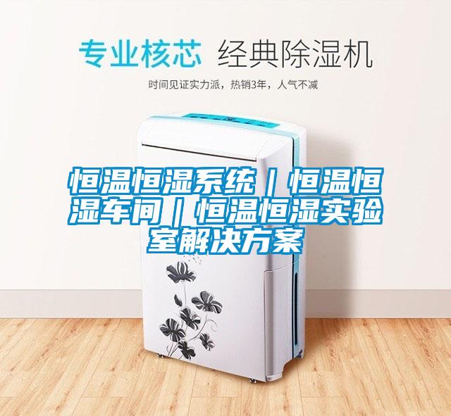 恒温恒湿系统｜恒温恒湿车间｜恒温恒湿实验室成人抖音APP污下载