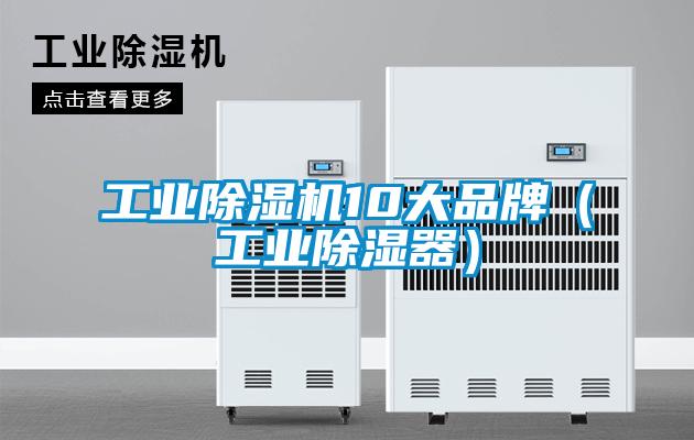 工业91抖音免费看片10大品牌（工业除湿器）
