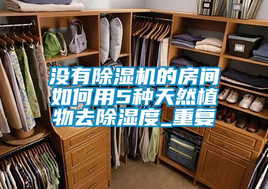 没有91抖音免费看片的房间如何用5种天然植物去除湿度_重复