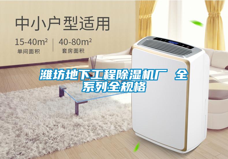 潍坊地下工程91抖音免费看片厂 全系列全规格