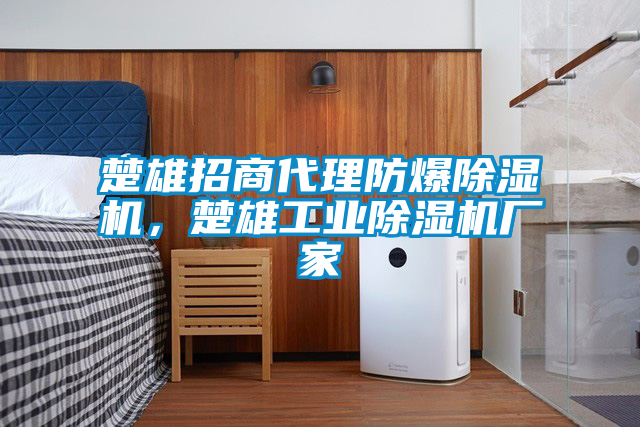 楚雄招商代理防爆91抖音免费看片，楚雄工业91抖音免费看片厂家