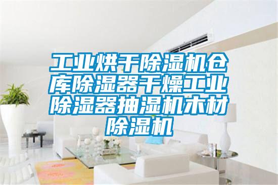 工业烘干91抖音免费看片仓库除湿器干燥工业除湿器抽湿机木材91抖音免费看片