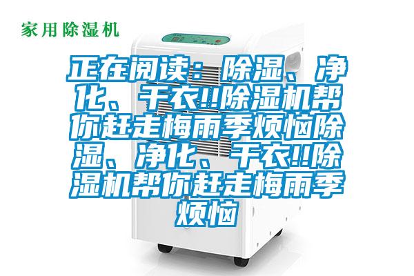 正在阅读：除湿、净化、干衣!!91抖音免费看片帮你赶走梅雨季烦恼除湿、净化、干衣!!91抖音免费看片帮你赶走梅雨季烦恼
