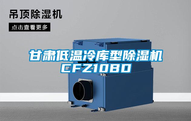 甘肃低温冷库型91抖音免费看片CFZ10BD