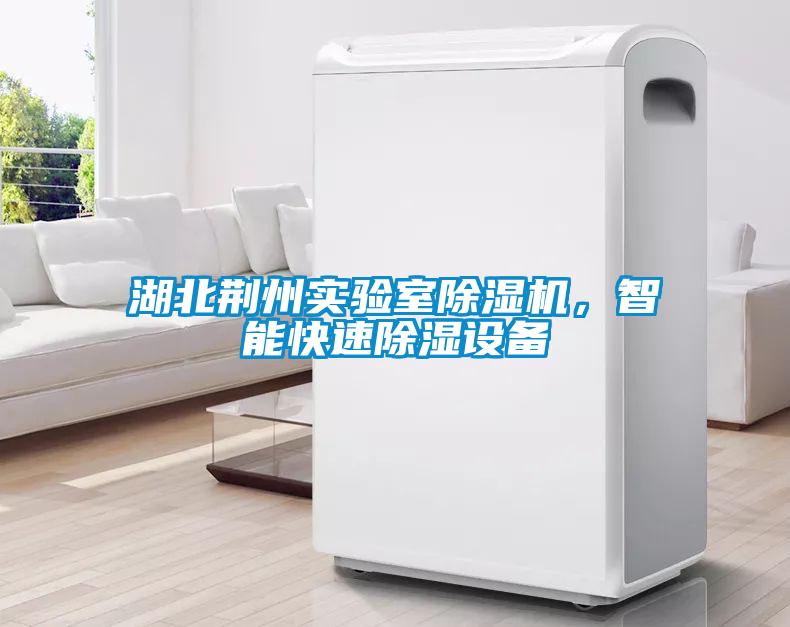 湖北荆州实验室91抖音免费看片，智能快速除湿设备
