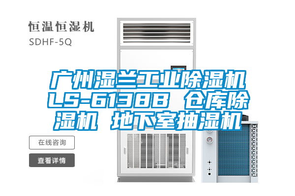 广州湿兰工业91抖音免费看片LS-6138B 仓库91抖音免费看片 地下室抽湿机