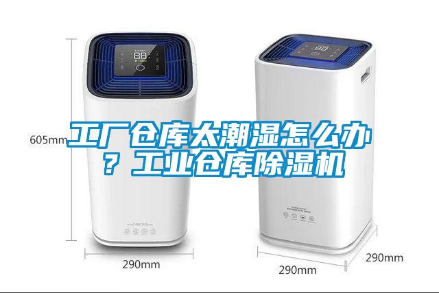 工厂仓库太潮湿怎么办？工业仓库91抖音免费看片
