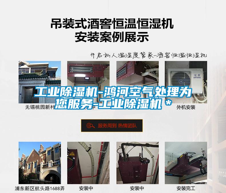 工业91抖音免费看片-鸿河空气处理为您服务-工业91抖音免费看片＊