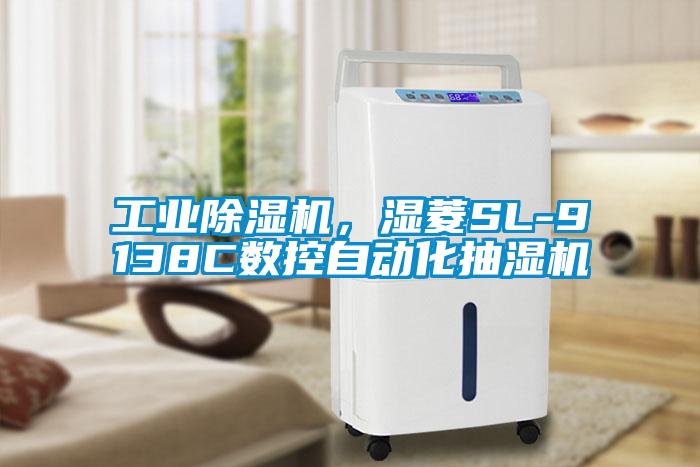 工业91抖音免费看片，湿菱SL-9138C数控自动化抽湿机