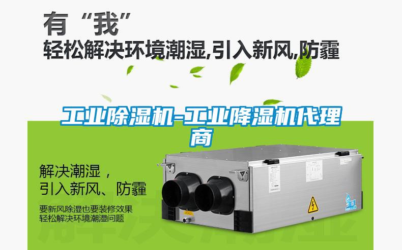 工业91抖音免费看片-工业降湿机代理商