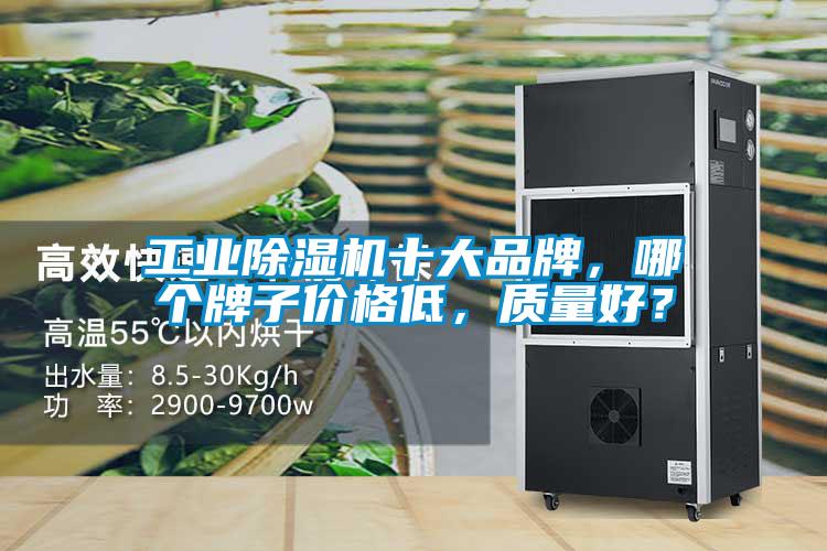 工业91抖音免费看片十大品牌，哪个牌子价格低，质量好？