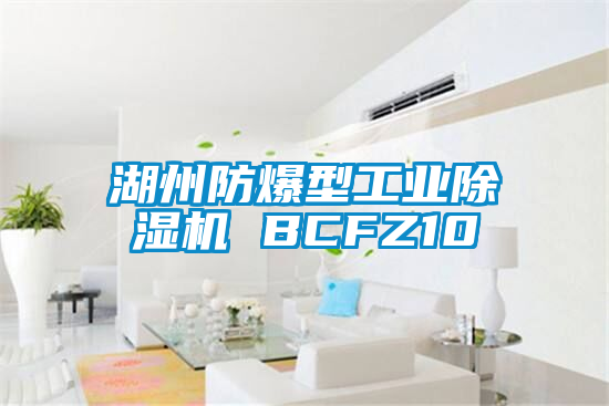 湖州防爆型工业91抖音免费看片 BCFZ10