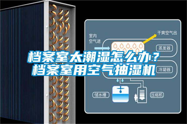 档案室太潮湿怎么办？档案室用空气抽湿机
