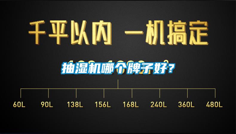 抽湿机哪个牌子好？