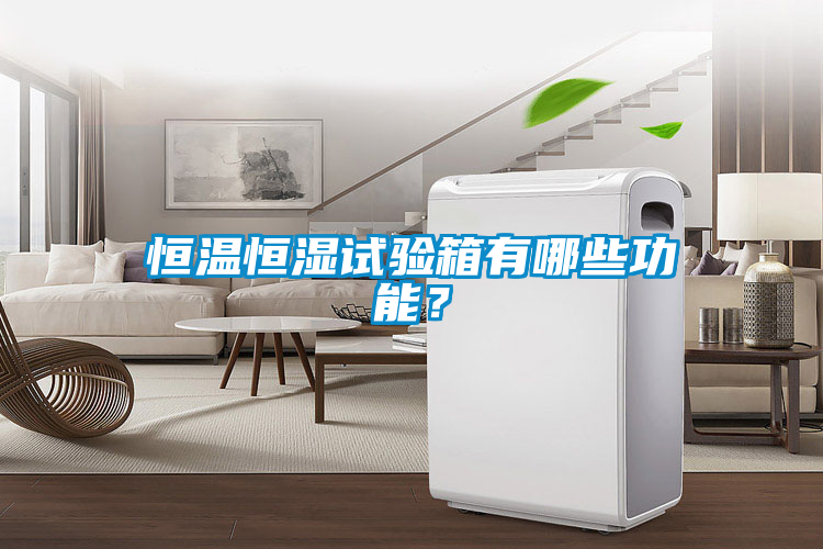 恒温恒湿试验箱有哪些功能？