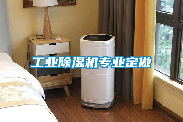 工业91抖音免费看片专业定做